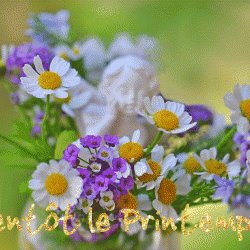 Bientot printemps